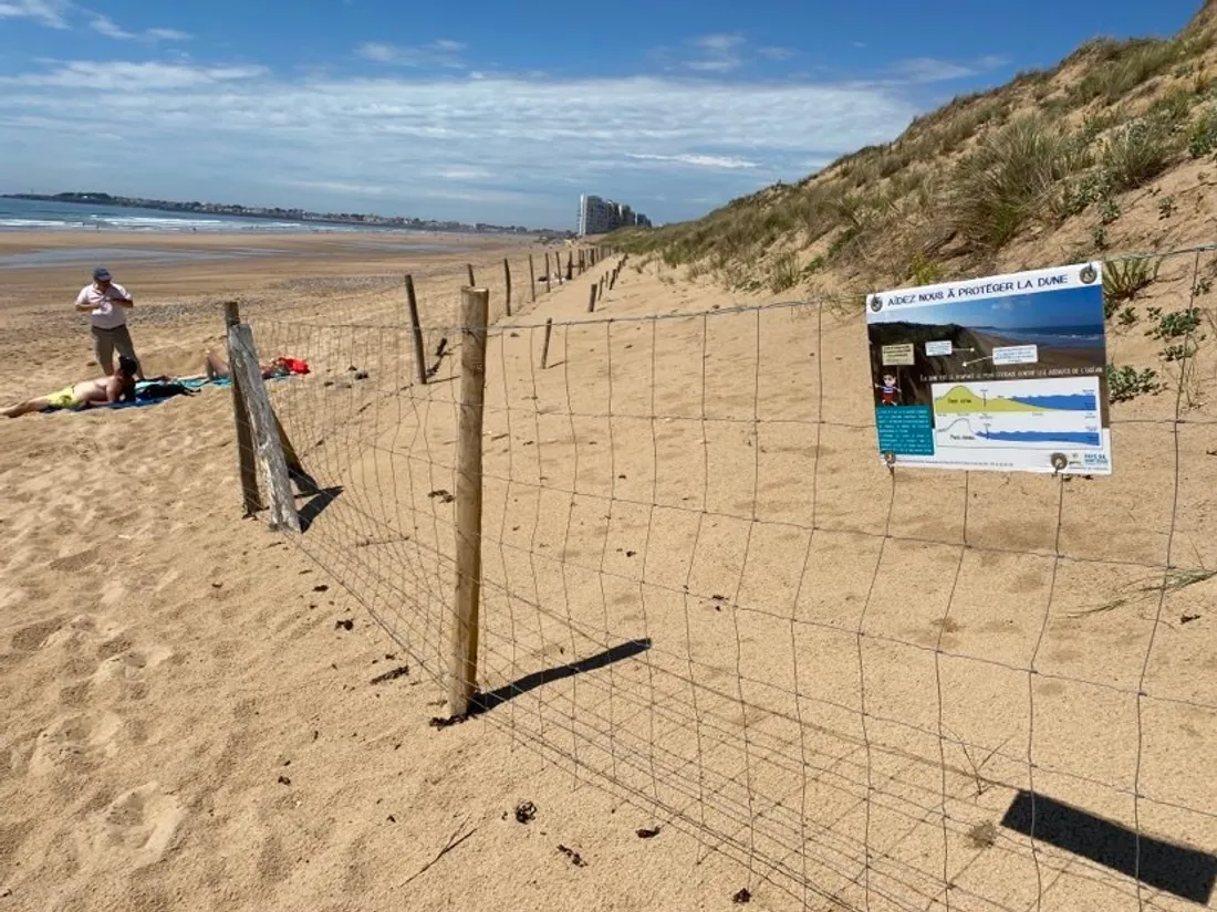 Dunes de Saint-Gilles-Croix-de-Vie
