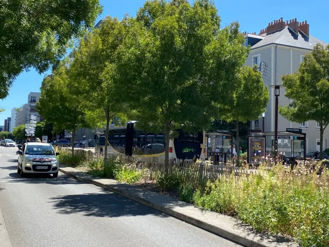 A Nantes, l'urbanisme veut verdir la ville
