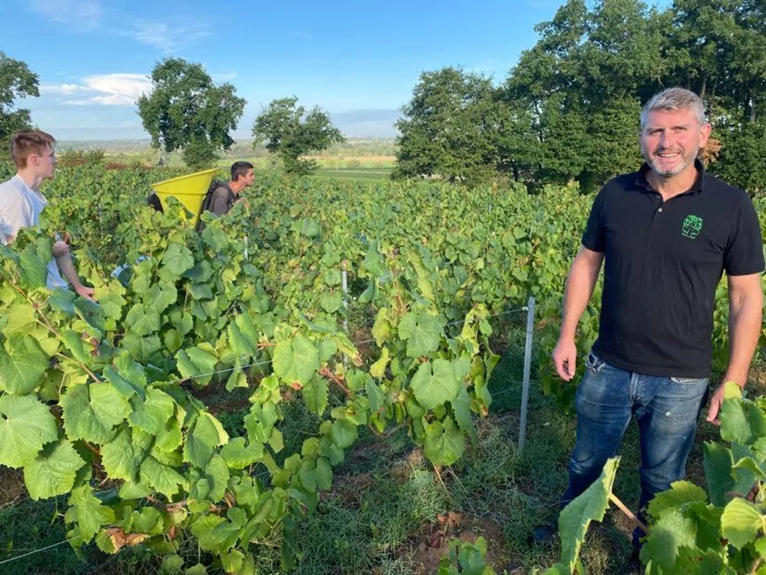 Jean-Jacques Bonnet, vigneron
