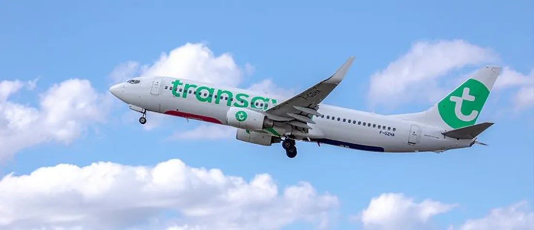 Transavia  - avion