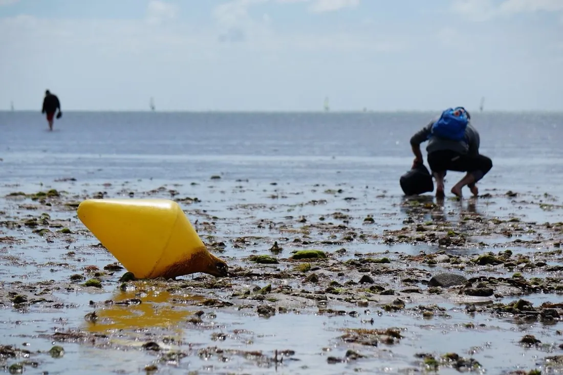 Un nouvel épisode de grandes marées cette semaine en Bretagne. 