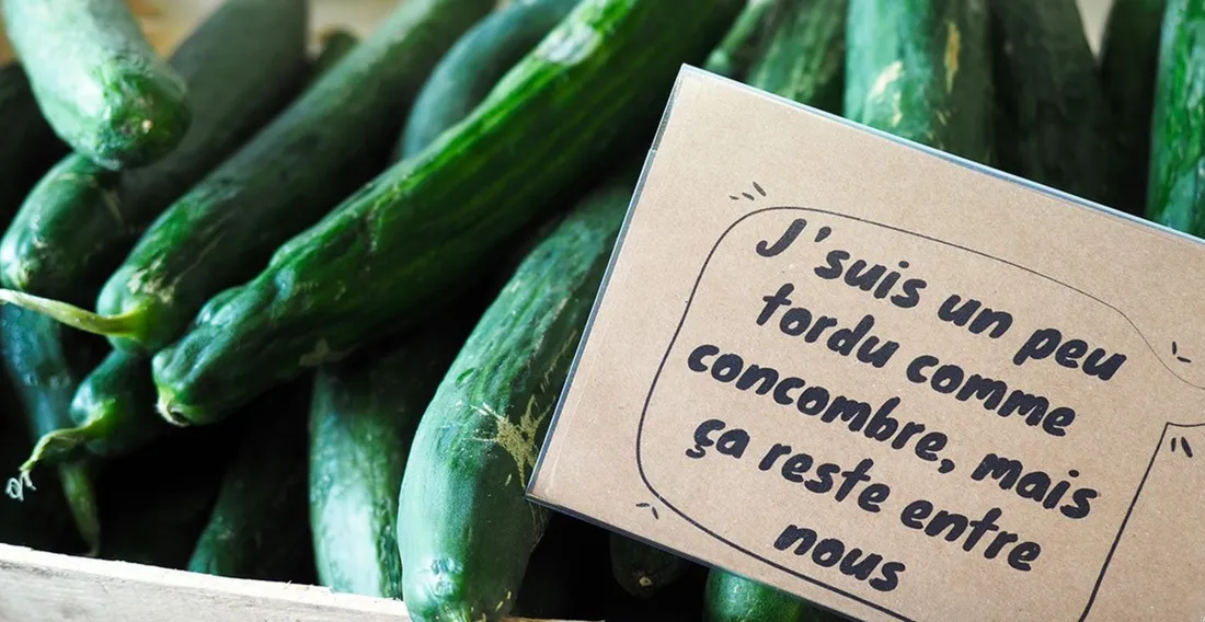 Concombres un peu tordus