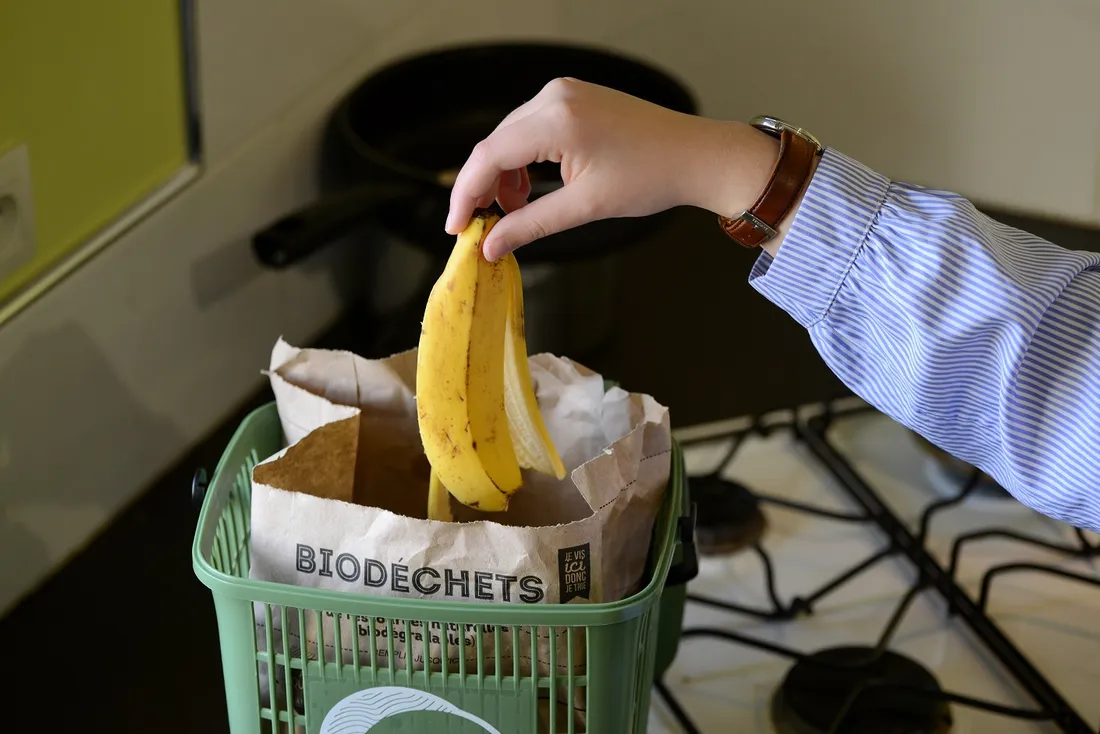 BIODECHETS POUBELLE VERTE BANANE