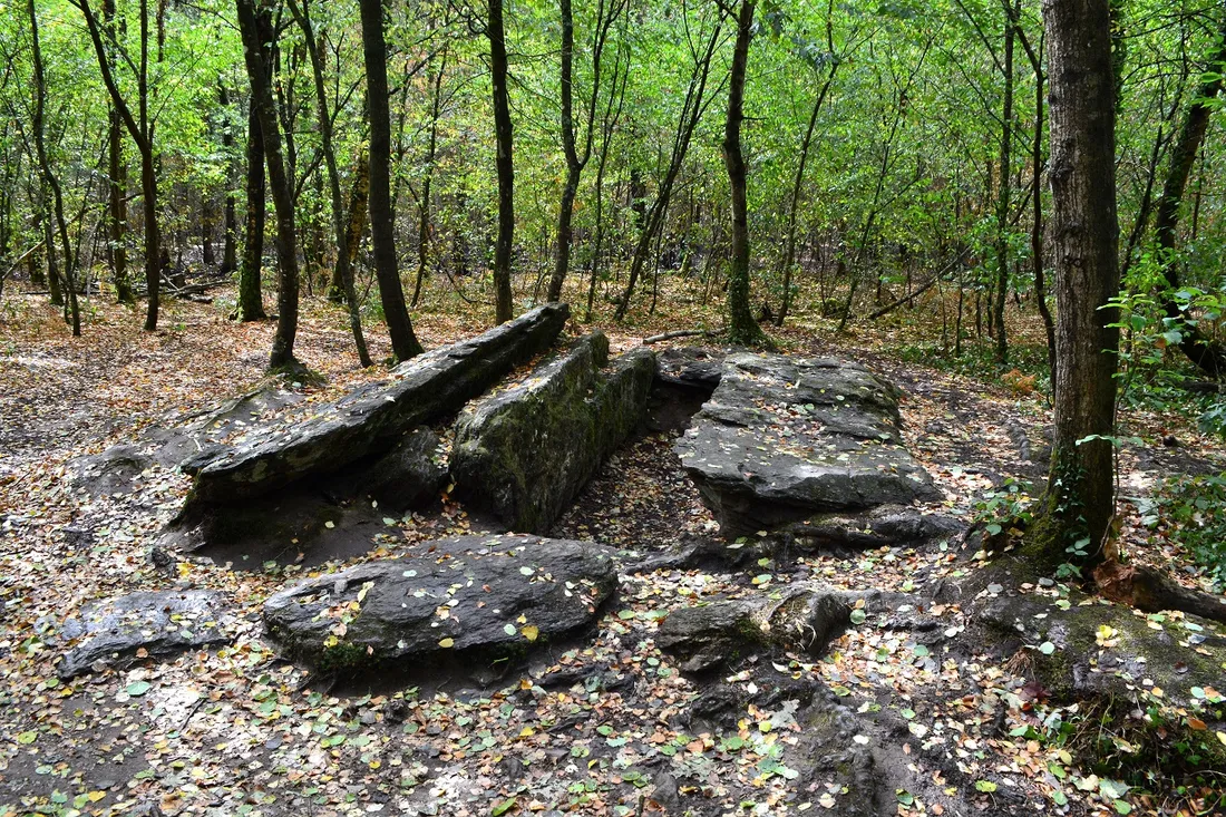 Forêt de Brocéliande (août 2022)