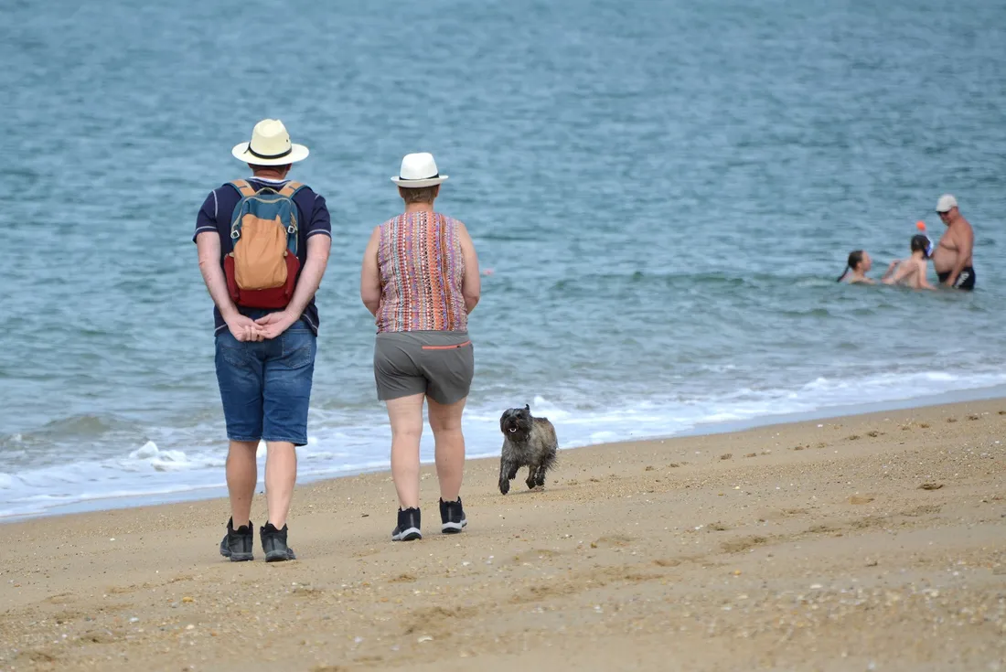 cani-plage de Plouhinec (56)