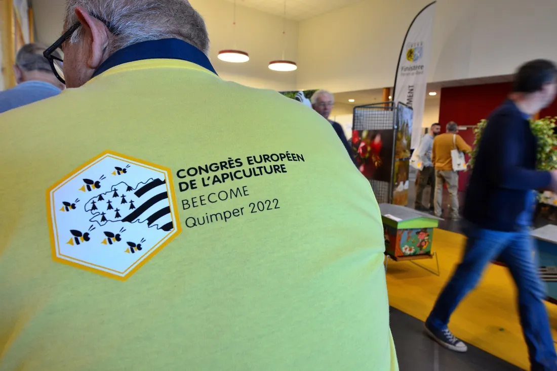 Congrès de l'Apiculture (logo)