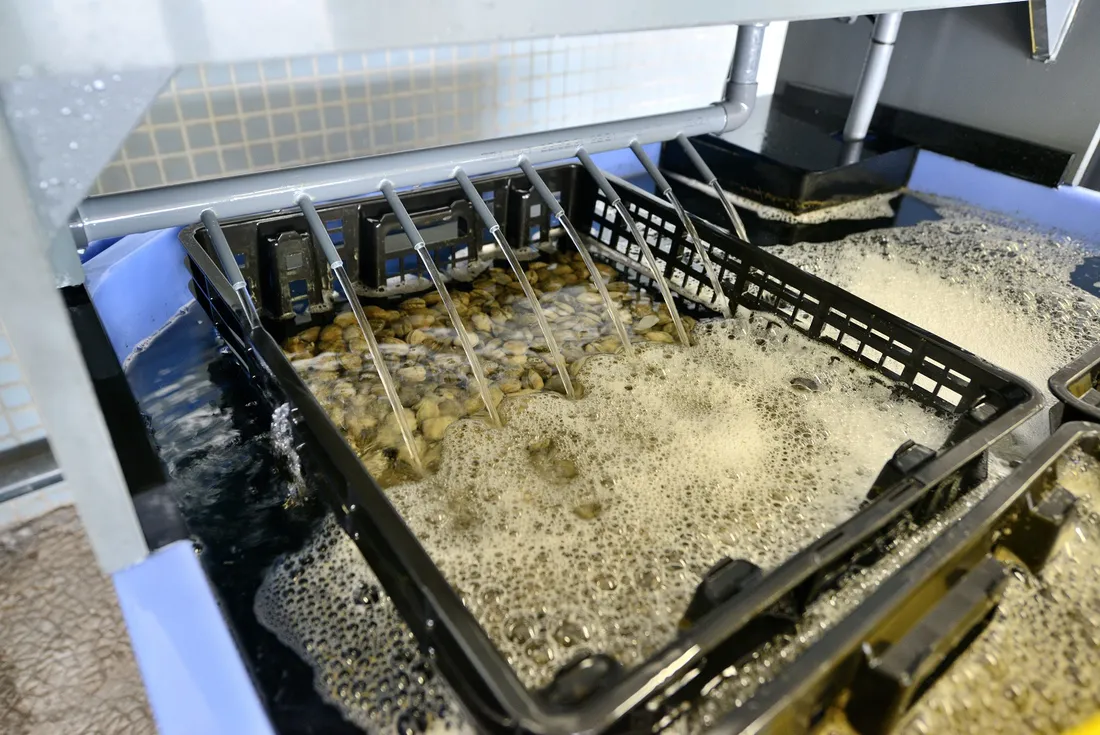 Décontamination La Trinité