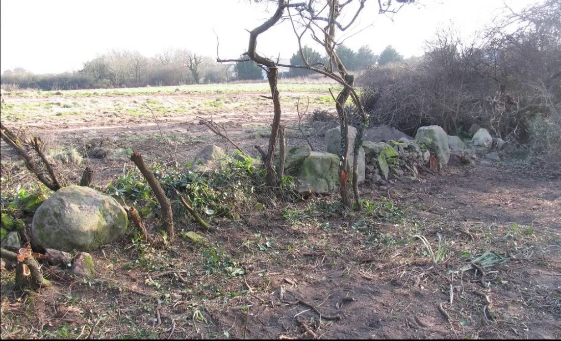 La zone en question située à 2,5 km des alignements de Carnac (56)