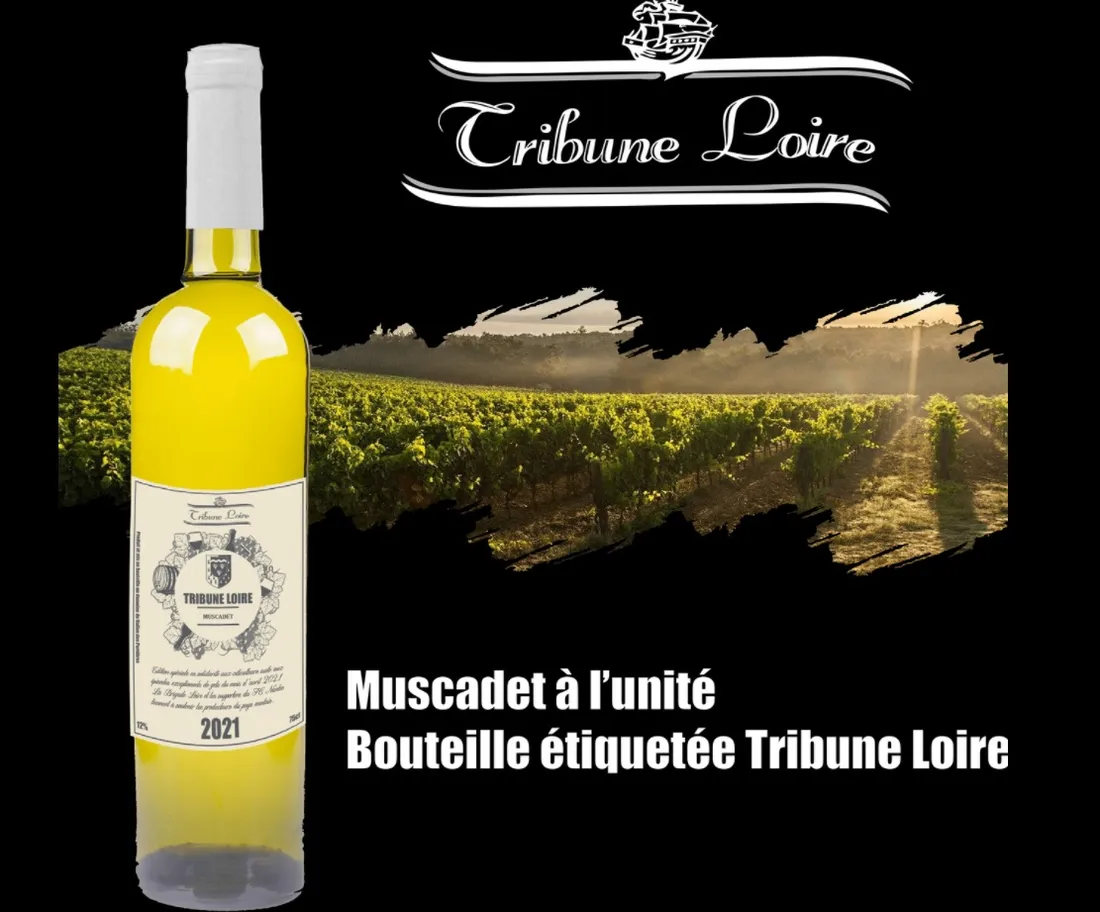La cuvée Tribune Loire