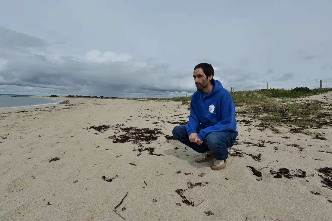 David Hemery - Tregunc