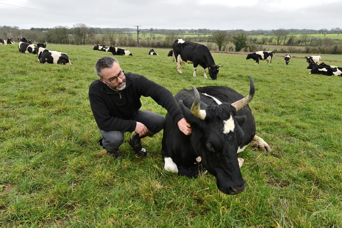 Races bretonnes Cédric Briand et Finn