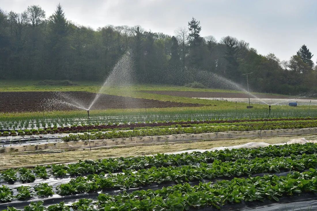 GAEC DU BIO LEGUME MELRAND (56)
