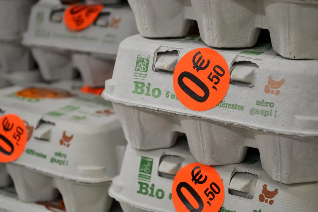 Oeufs bios à 50 centimes