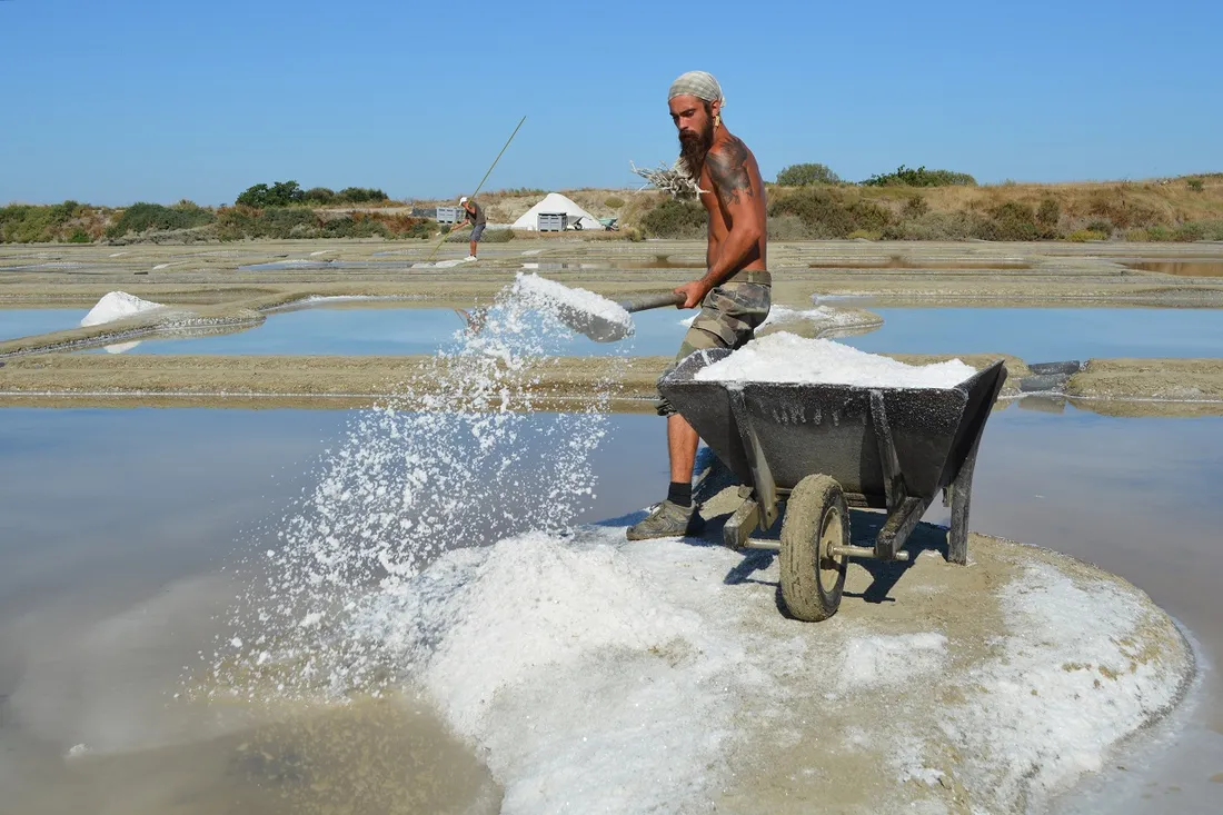 Guérande - paludiers récoltants