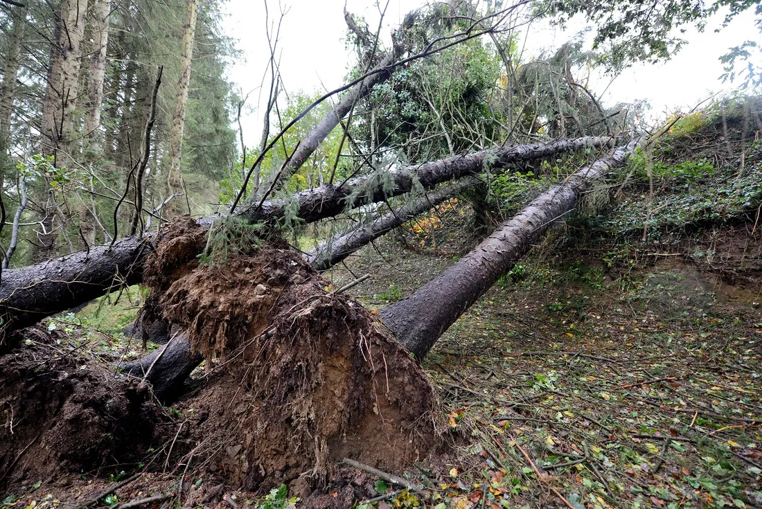 Sinistre de la tempête Ciaràn