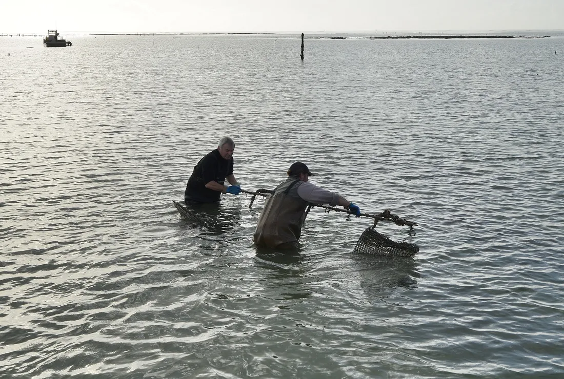 Parc à huîtres à Sarzeau - Penvins