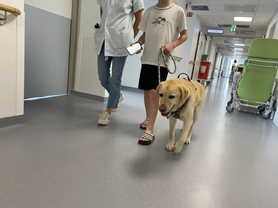 Lottie, en balade dans les couloirs