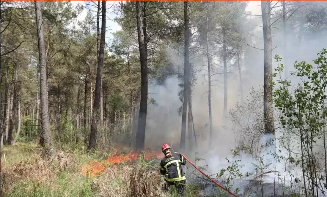 Incendie en forêt de Liffré