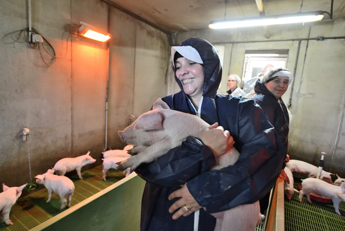 Journées des Métiers en Agriculture (Lycée kernilien)