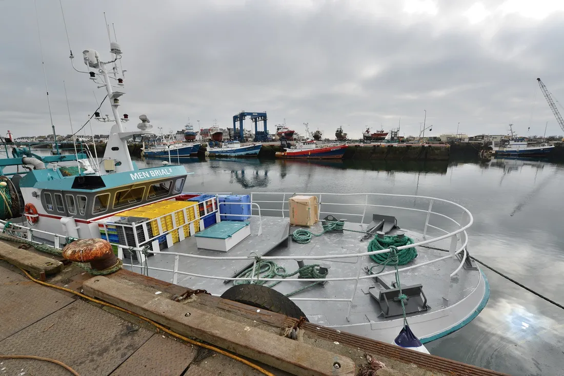 Port du Guilvinec (29)