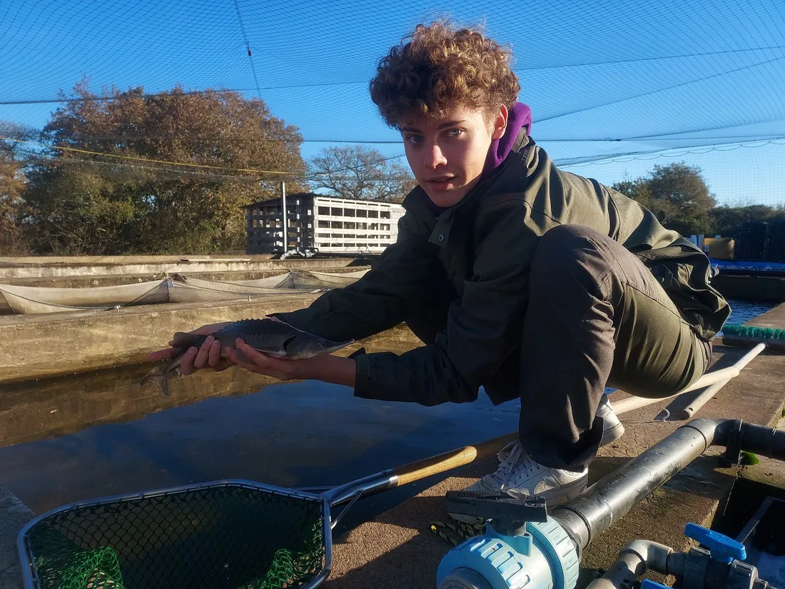 Lance étudiant à Guérande (44)
