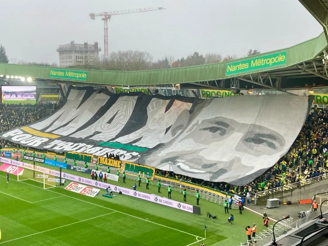 Maxime Tifo