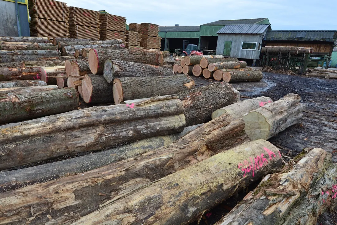 Mécabois - Saint-Sauveur