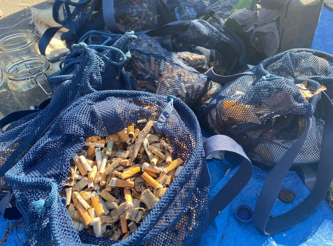 Beaucoup de mégots ramassés