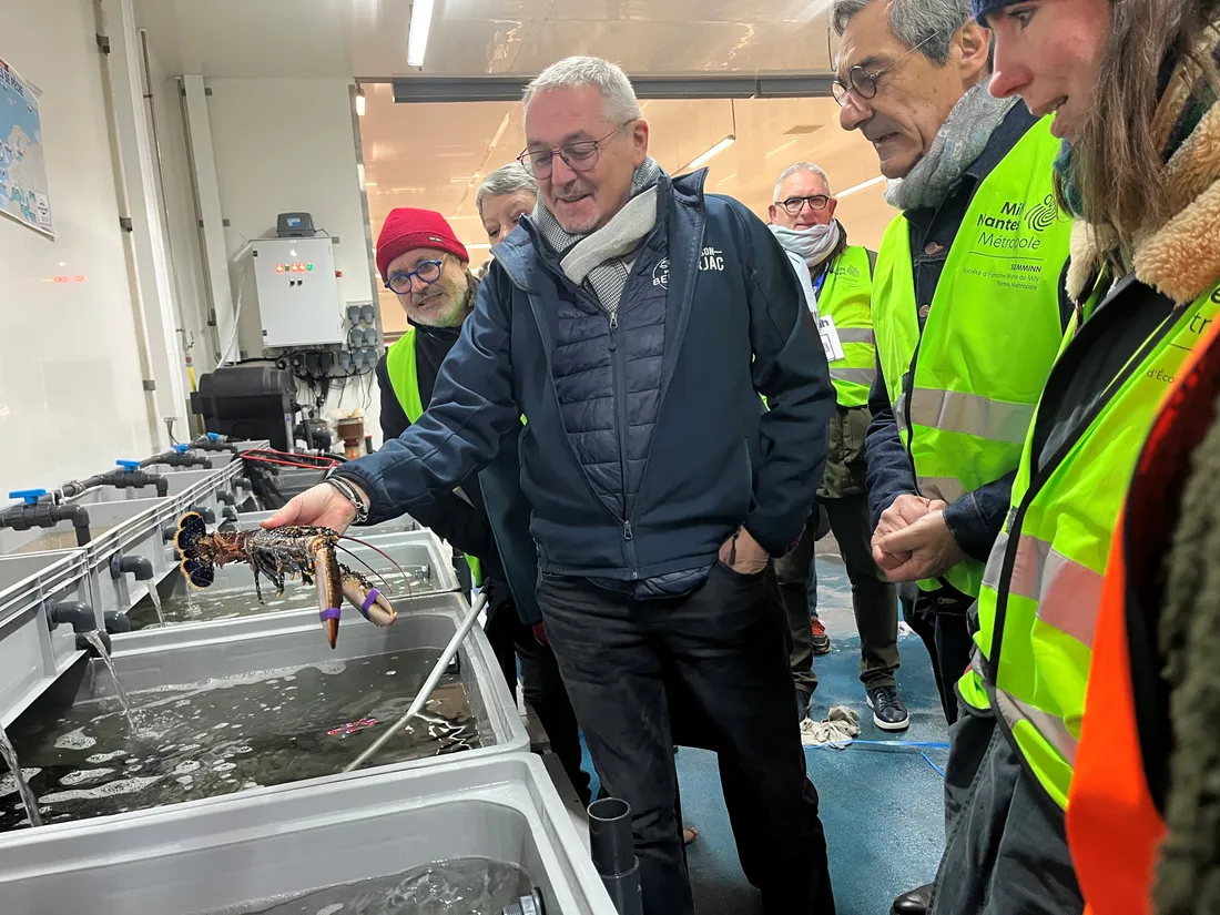 Le ministre Papin au MIN de Nantes, pour 