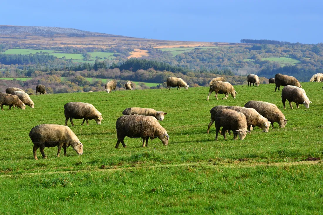 Monts d'Arrée, Lopérec 