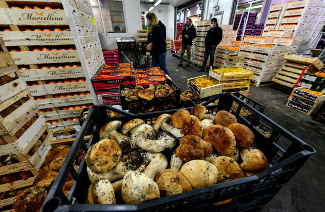 LE MIN de Nantes Métropole