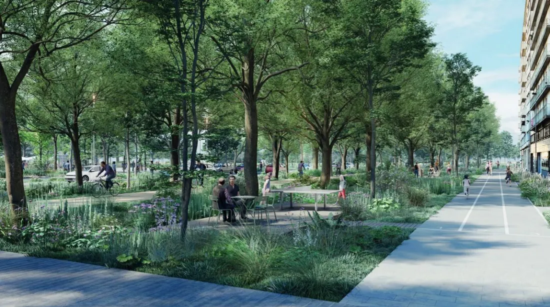 Vue depuis l’allée de l’île Gloriette des rives ligériennes avec ses 'nids' animés