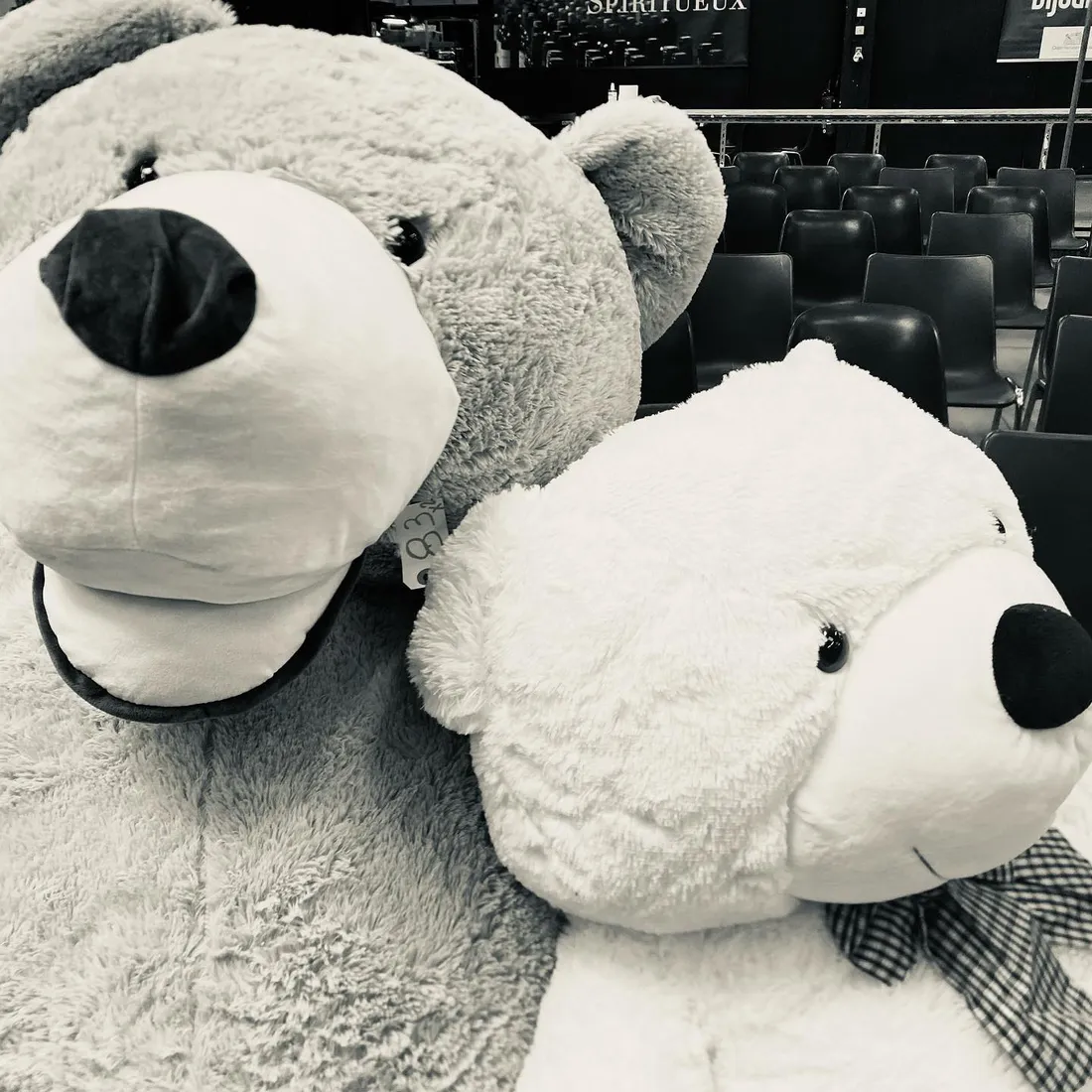 La vente des colis perdus de La Poste 2022