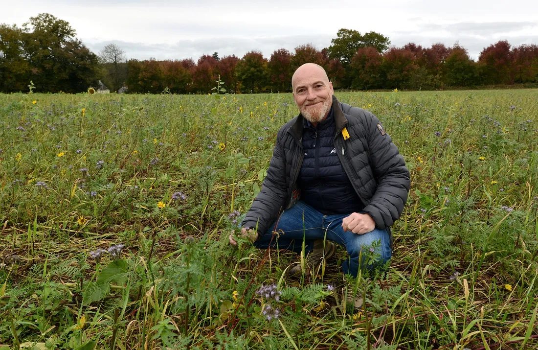 Olivier Manceau - Kerguehennec