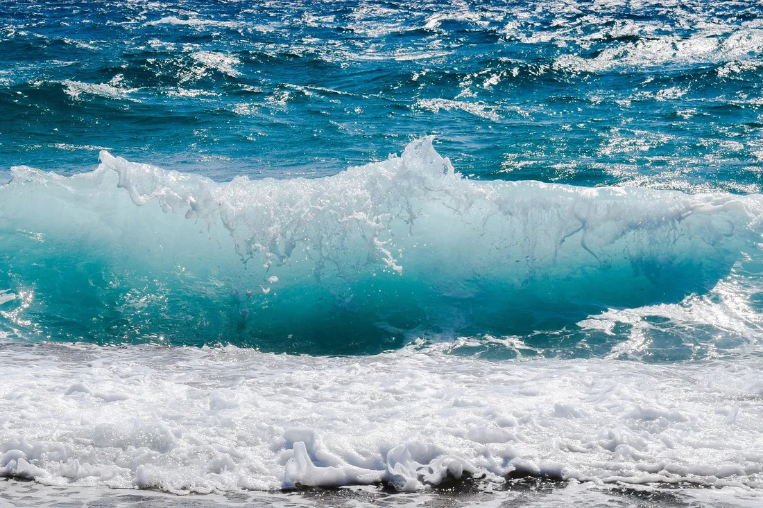 Ploemeur : les effets néfastes du réchauffement de l'Océan Atlantique ...