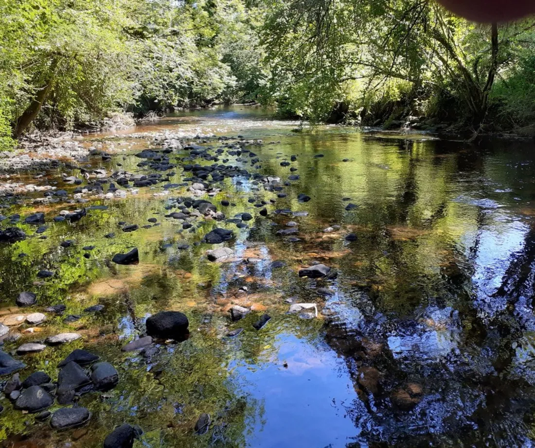 L'Odet, le 9 juillet 2022