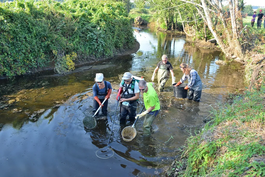 Opération de sauvetage dans l'Odet (Août 2022)