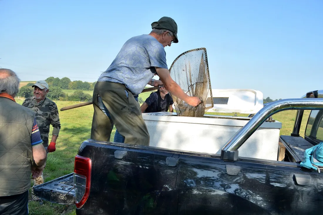 Opération de sauvetage dans l'Odet (août 2022)