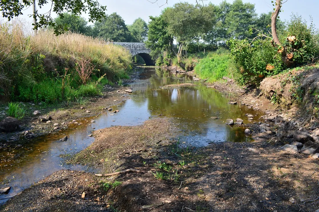 Pêche de sauvetage Odet - lit asséché (août 2022) 