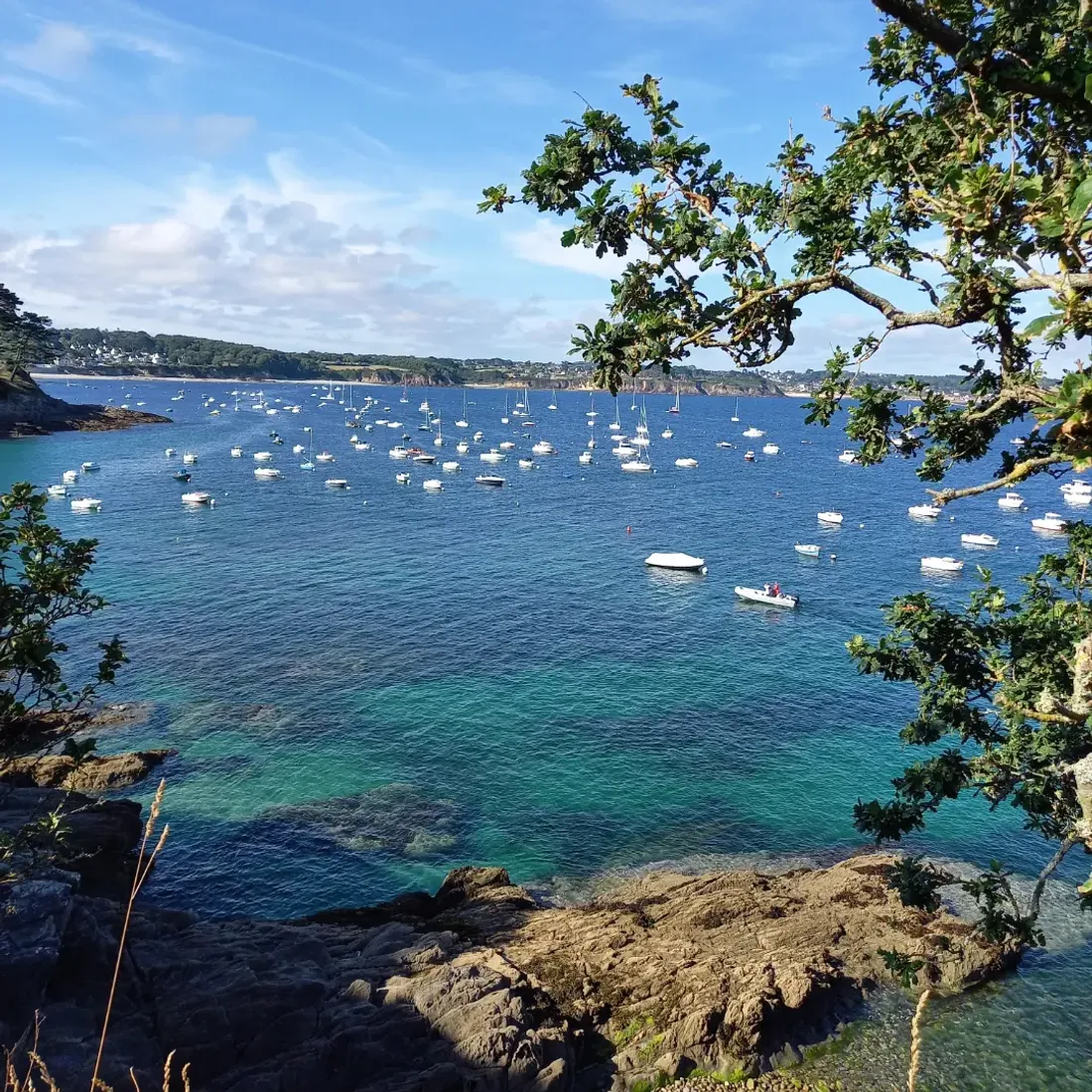 Plage de Plougonvelin (29)