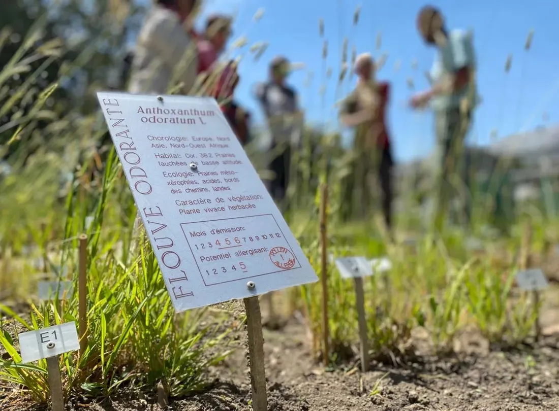 Pollinarium de Nantes (44)