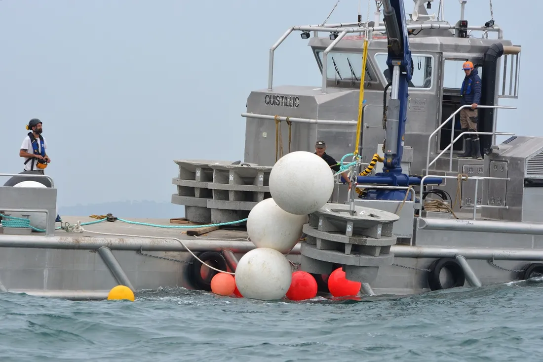 Immersion de récifs coraliens