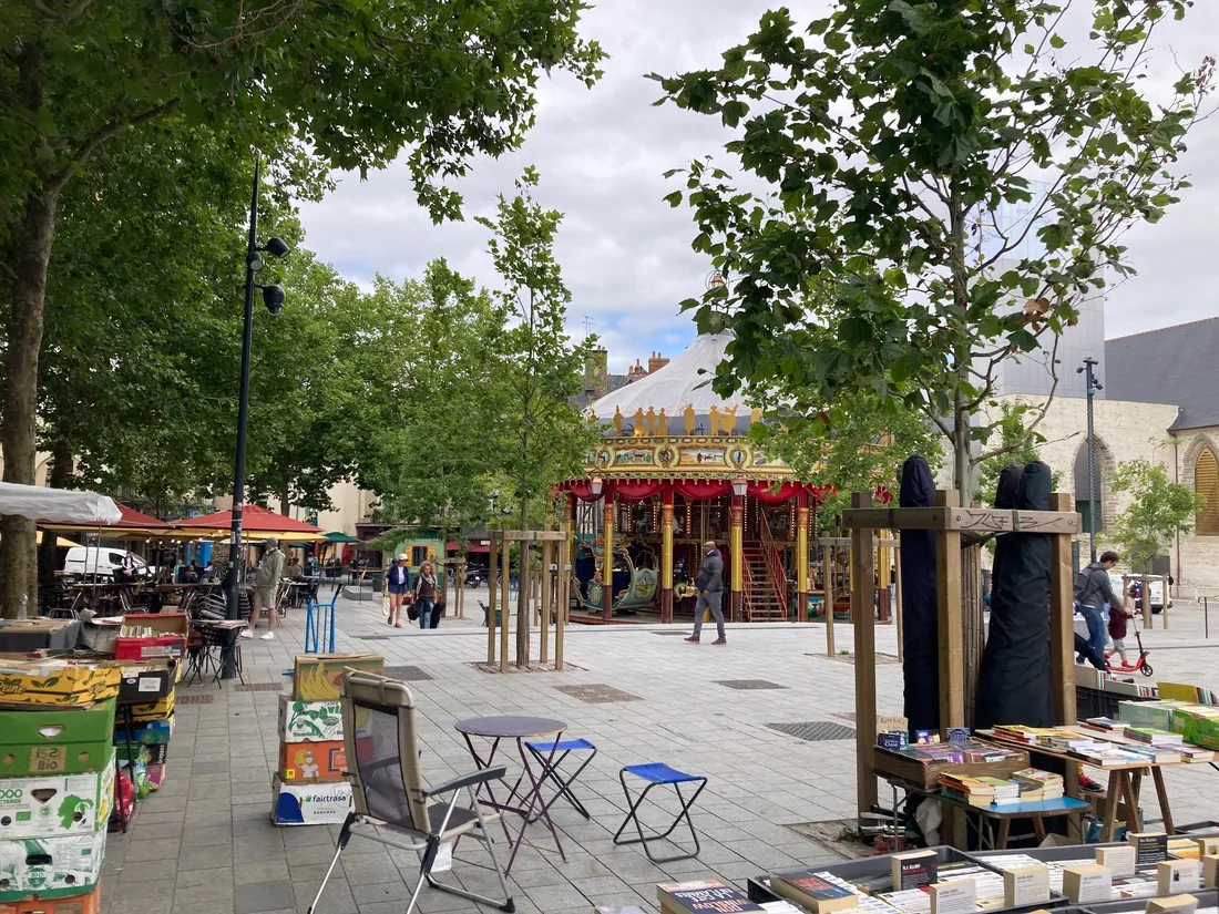 Braderie de Livres, à Rennes (illustration)