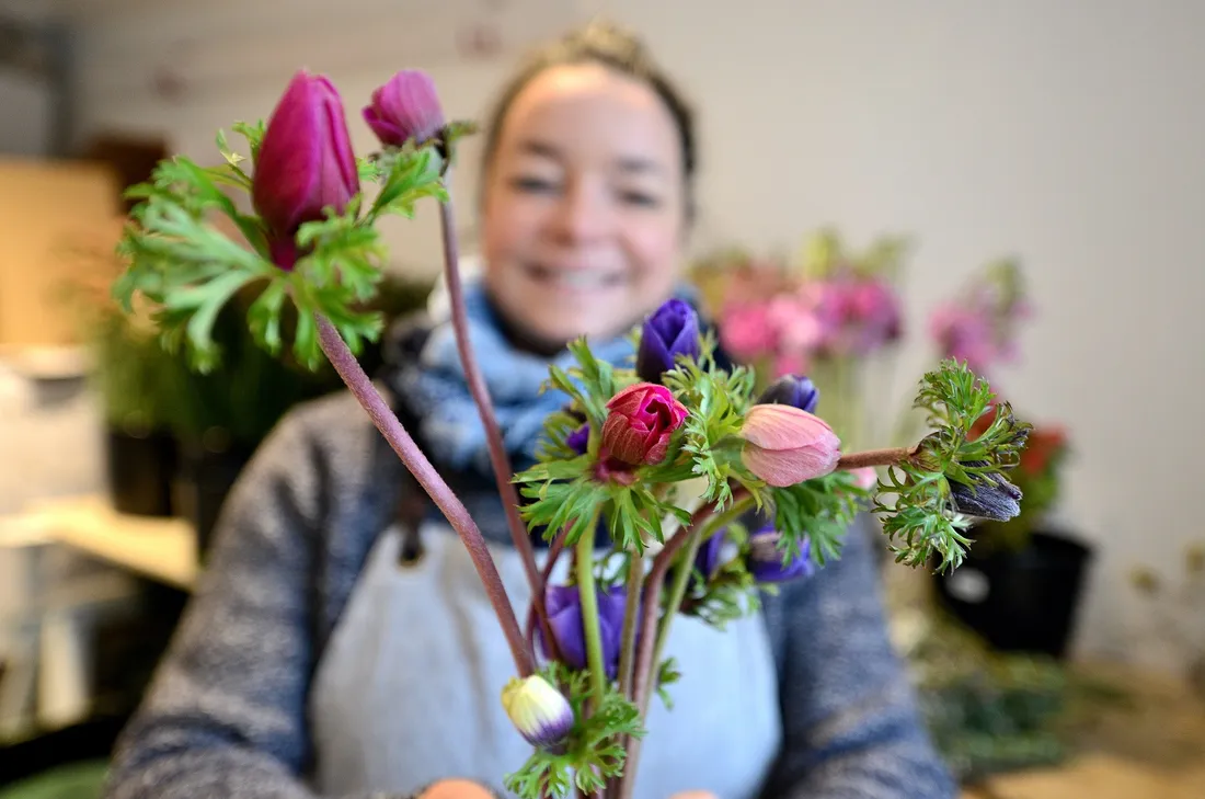 Tiphaine Turluche - anémones