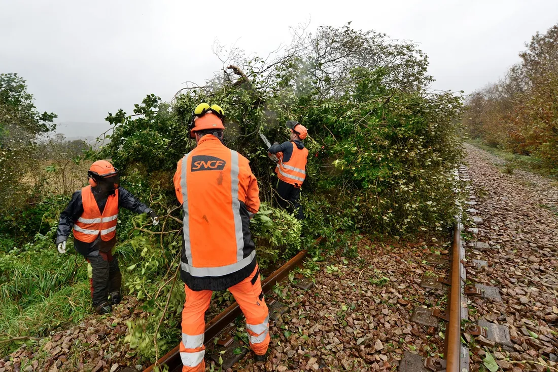 Bûcheronnage à Châteaulin (29)