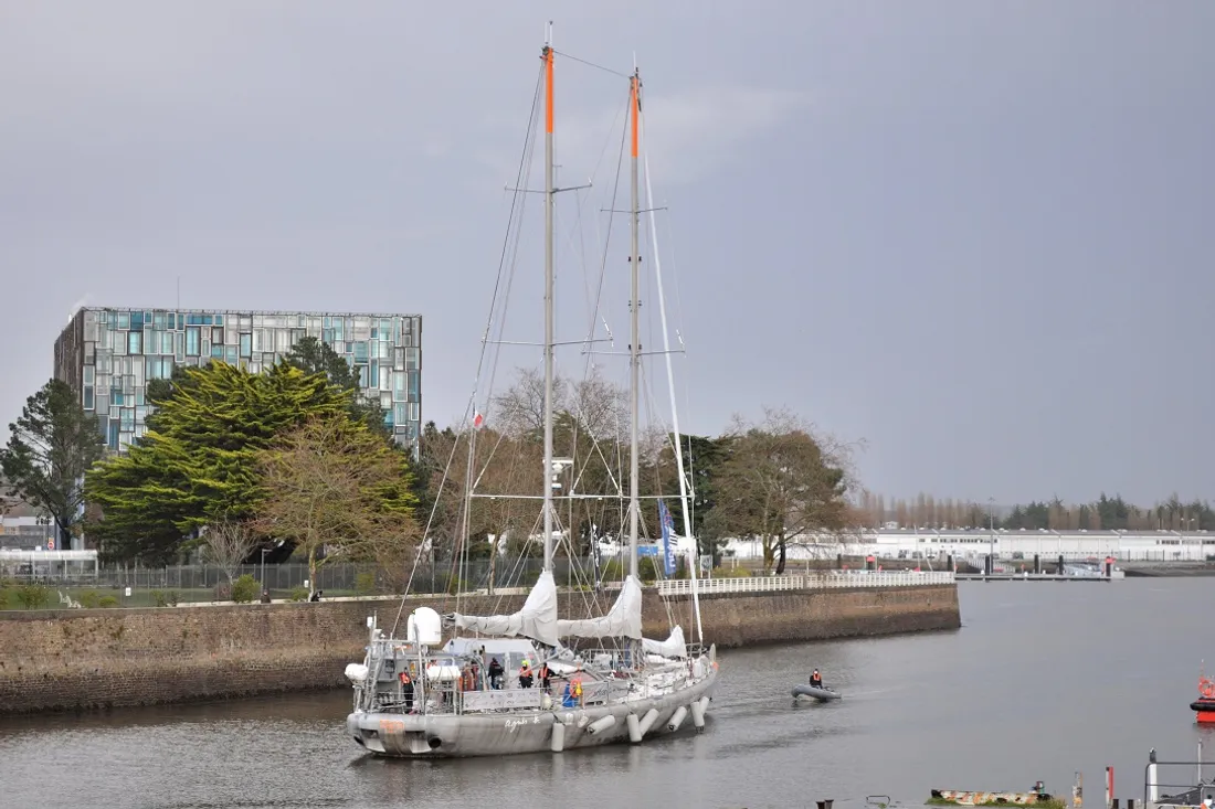 Tara mission microbiome