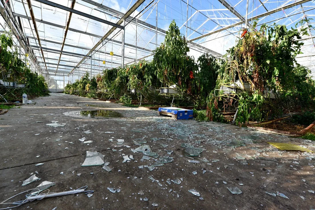 Tempête Ciaran dégâts Pleubian serres verre