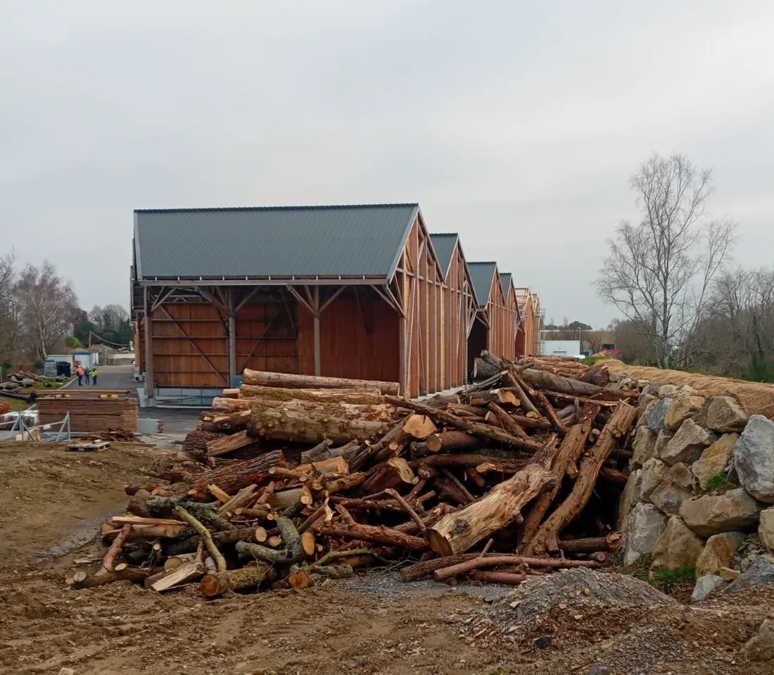 Bois récupéré après la tempête Ciaran