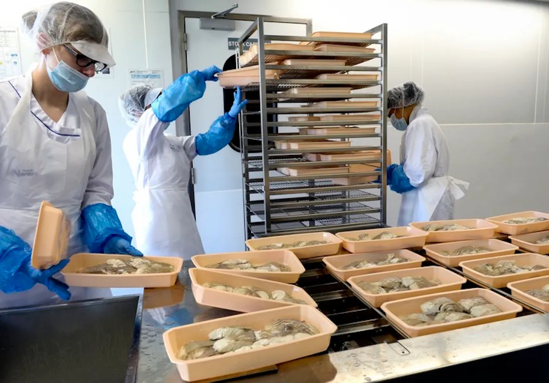 Cuisine centrale Nantes