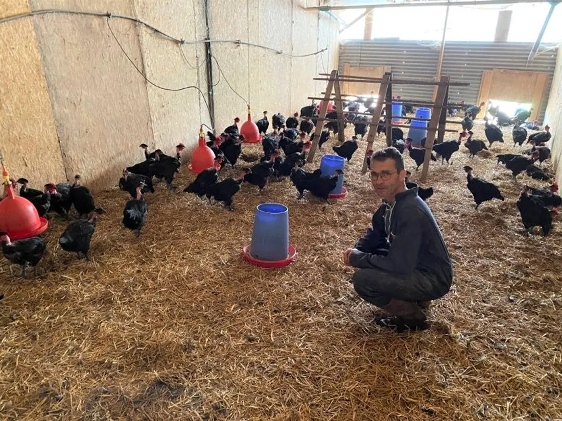 Jacques Dupont, Les volailles de la Rondelière